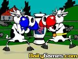 Cow Boxing
