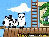 3 Pandas in Brasil