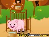 Baby Piggy Care