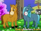 Darcy Pony Differences