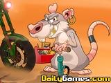 Rat on a Dirt Bike