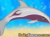 Dolphin Maker