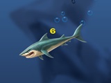 Mega Shark